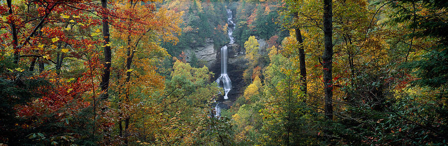 Waterfall In A Forest, Raven Cliff Photograph by Panoramic Images