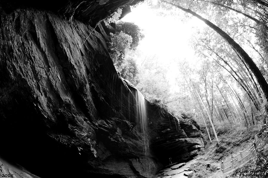 Waterfall In A Globe Black and White Photograph by Lisa Wooten