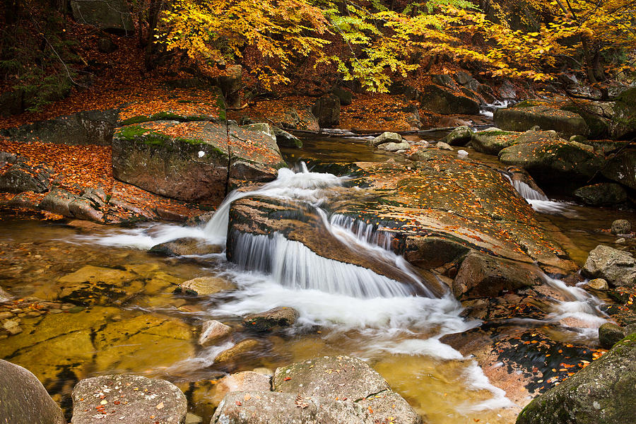Waterfall in Autumn Scenery Photograph by Artur Bogacki
