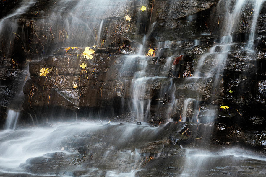 Nature Photograph - Waterfall in Autumn Sunlight by Tom Mc Nemar