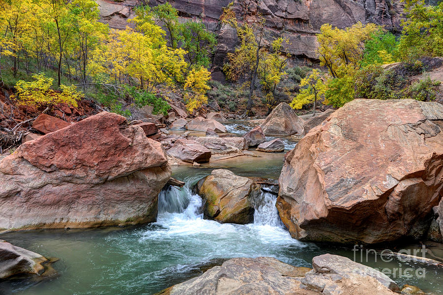 Zion National Park Photograph - Waterfall in Autumn Zion National Park by Gary Whitton
