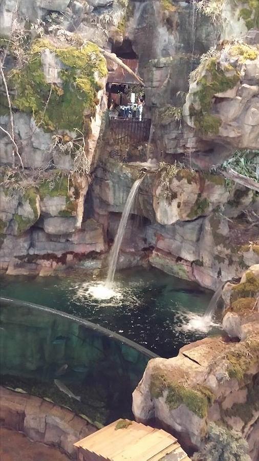 Waterfall in Bass Pro Shop by Audrey Jarrell Aguillard