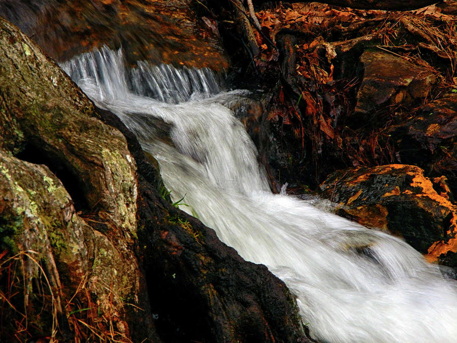 Waterfall in Caledonia State Park 2 Photograph by Raymond Salani III