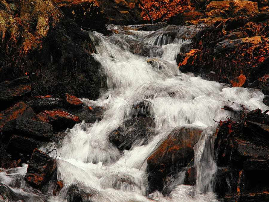 Waterfall in Caledonia State Park Photograph by Raymond Salani III