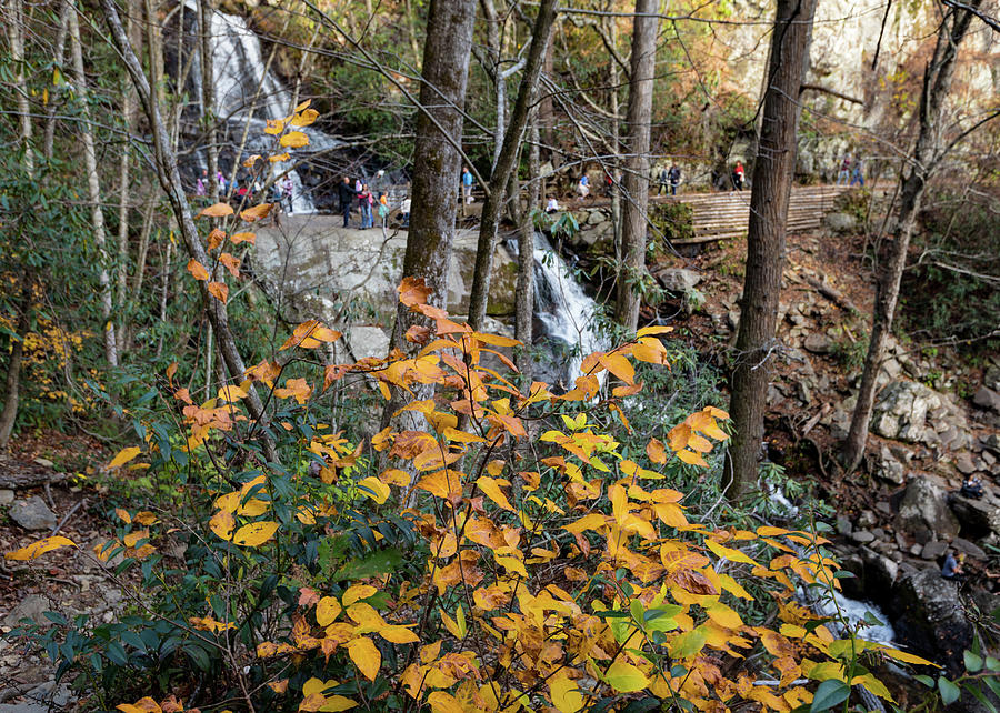 Waterfall in Fall Photograph by Tim Fitzwater
