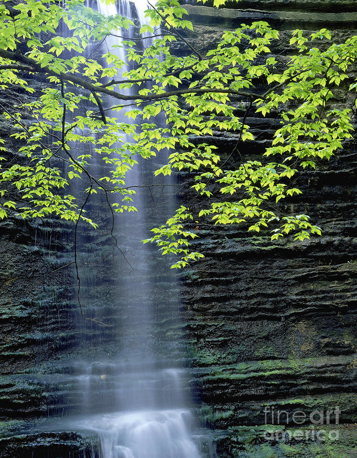 Waterfall In Illinois Photograph by Willard Clay
