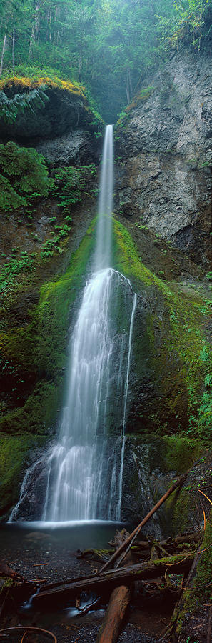 Olympic National Park Photograph - Waterfall In Olympic National Rainforest by Panoramic Images