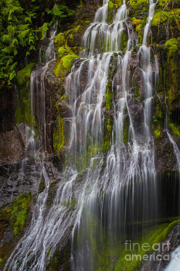 Waterfall in Silk Photograph by Patricia Babbitt