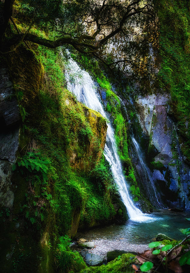 Waterfall In Spring Photograph