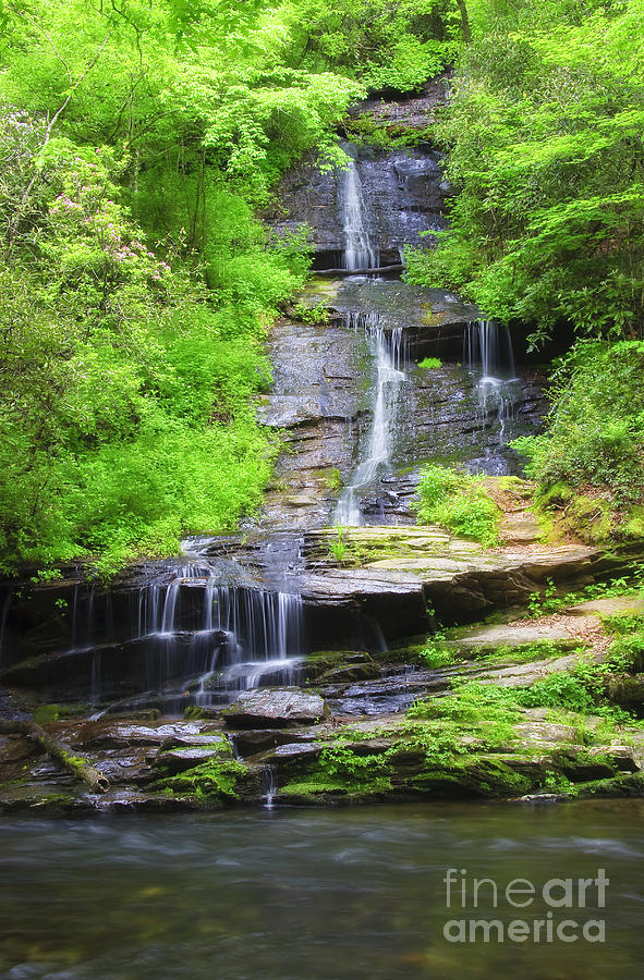 Waterfall in Springtime Photograph by Jill Lang