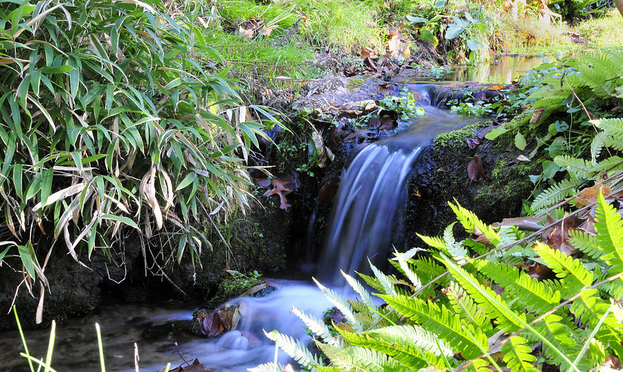 Waterfall in Stream Photograph by David Arment