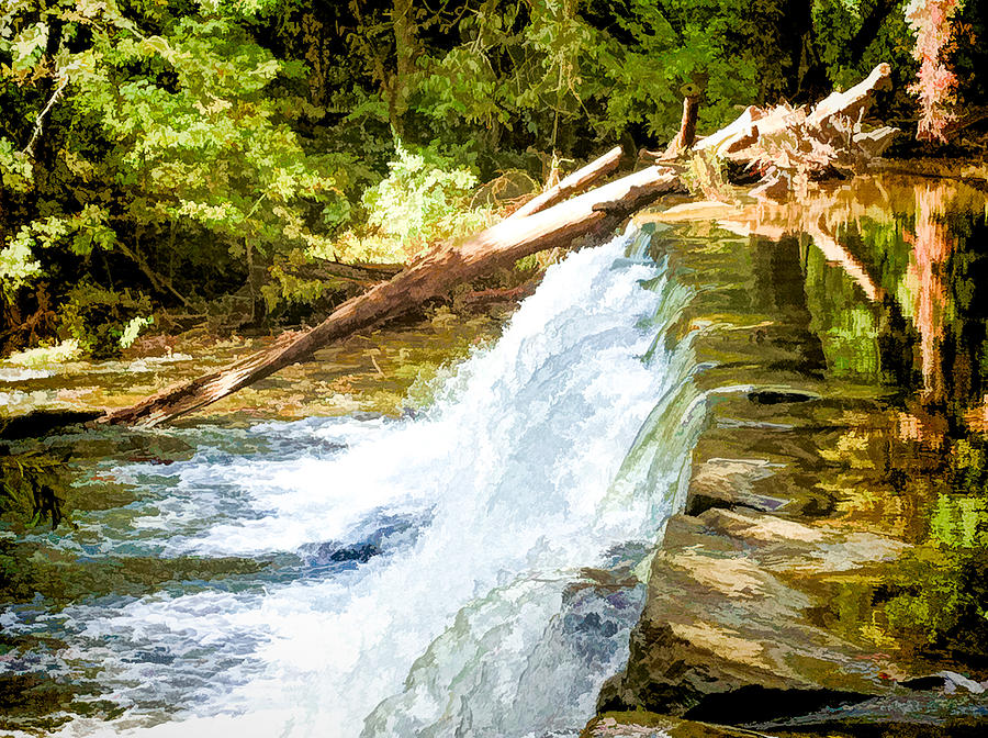 Waterfall in Swarthmore PA Photograph by Richard Goldman