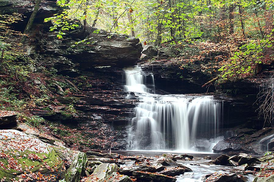 Waterfall In The Fall Photograph by Scott Burd | Fine Art America