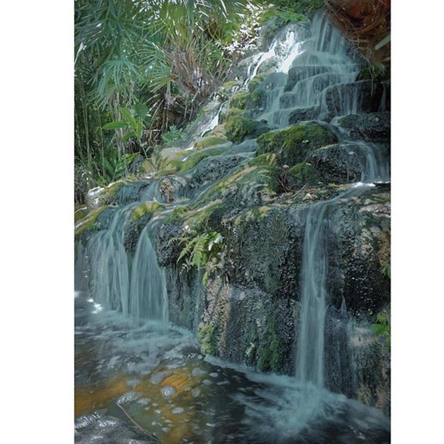 Waterfall Photograph - Waterfall In The Gardens  by Marvin Reinhart