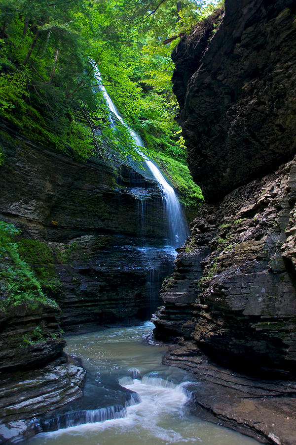 Summer Photograph - Waterfall in the Gorge by Mike Horvath