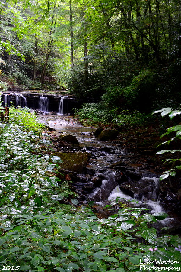 Waterfall In The Woods Photograph by Lisa Wooten