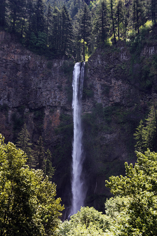 Waterfall in Washington Photograph by Joanne Coyle