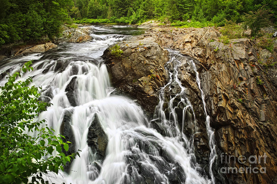 Waterfall in wilderness Photograph by Elena Elisseeva