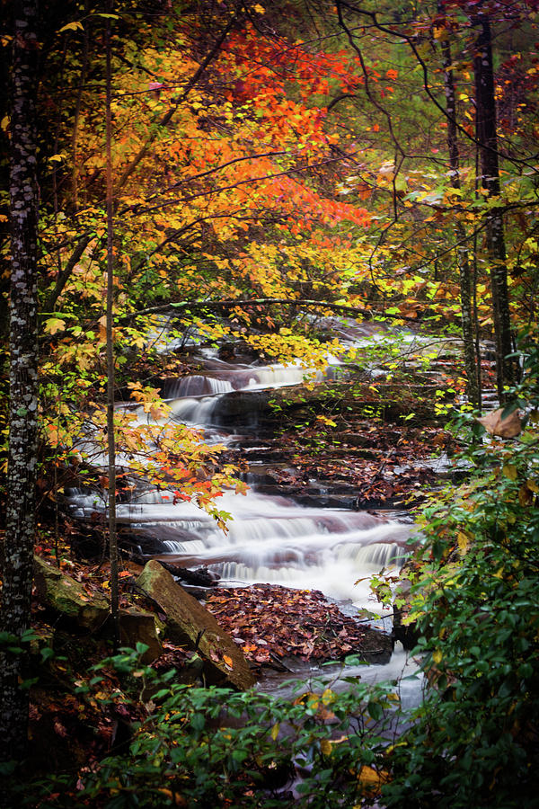 Fall Photograph - Waterfall Kaleidoscope  by Parker Cunningham
