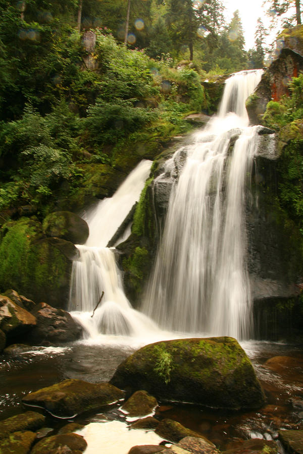 Nature Photograph - Waterfall by Laura Di Biase