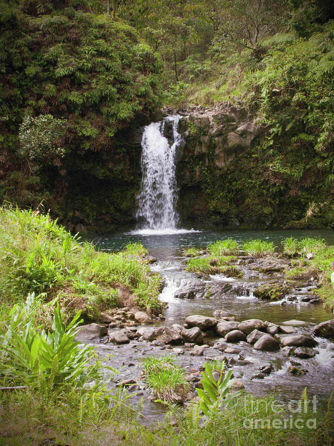 Waterfall Maui Photograph by Phil Welsher