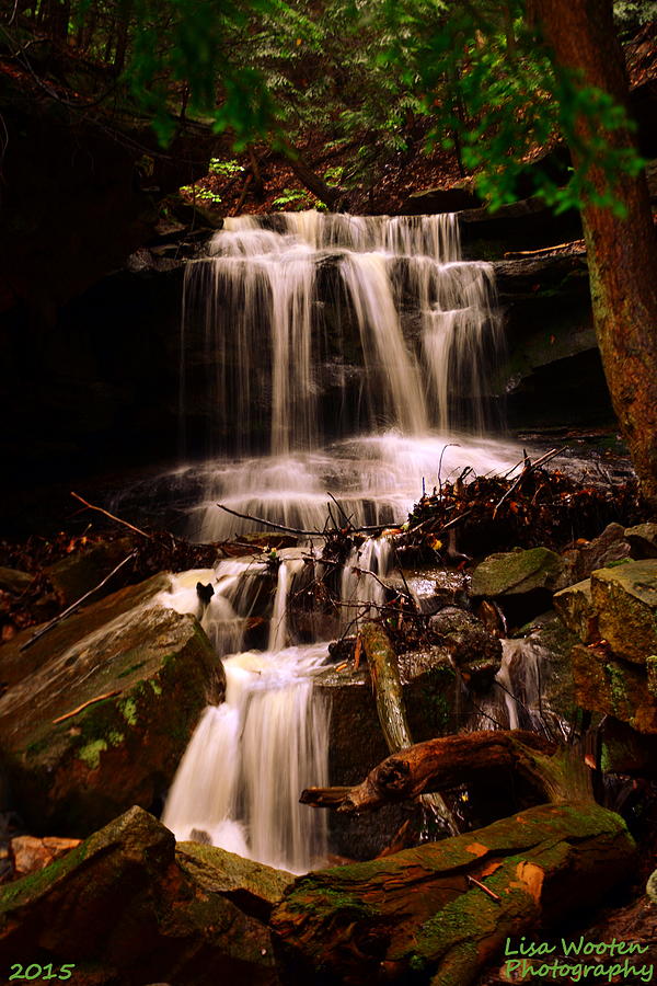 Waterfall McConnells Mills State Park Photograph by Lisa Wooten
