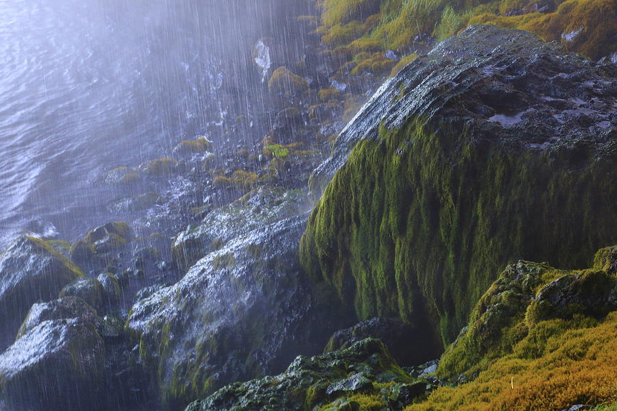 Waterfall Mist Photograph by Bethany Dhunjisha