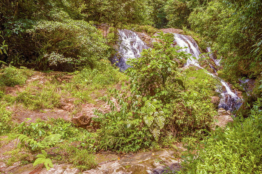 Waterfall nesr Santa fe in Panama Photograph by Marek Poplawski