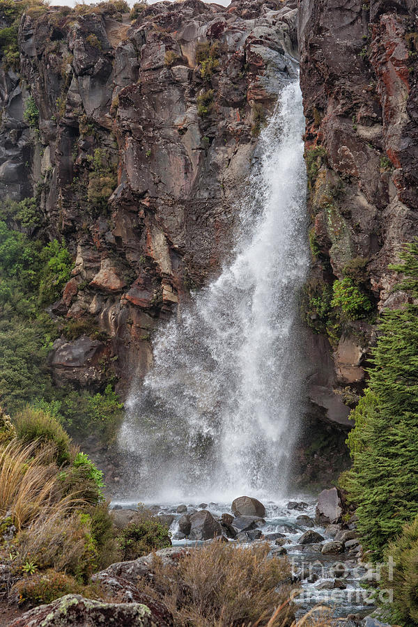 Waterfall New Zealand Photograph by Patricia Hofmeester