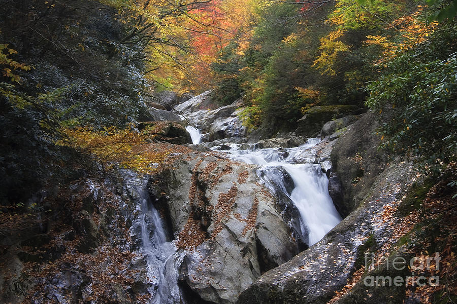 Waterfall off Blue Ridge Parkway Photograph by Jill Lang