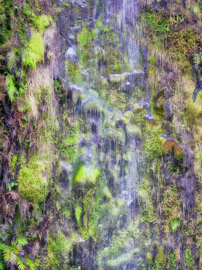 Waterfall - Okarito Beach - New Zealand Photograph by Steven Ralser