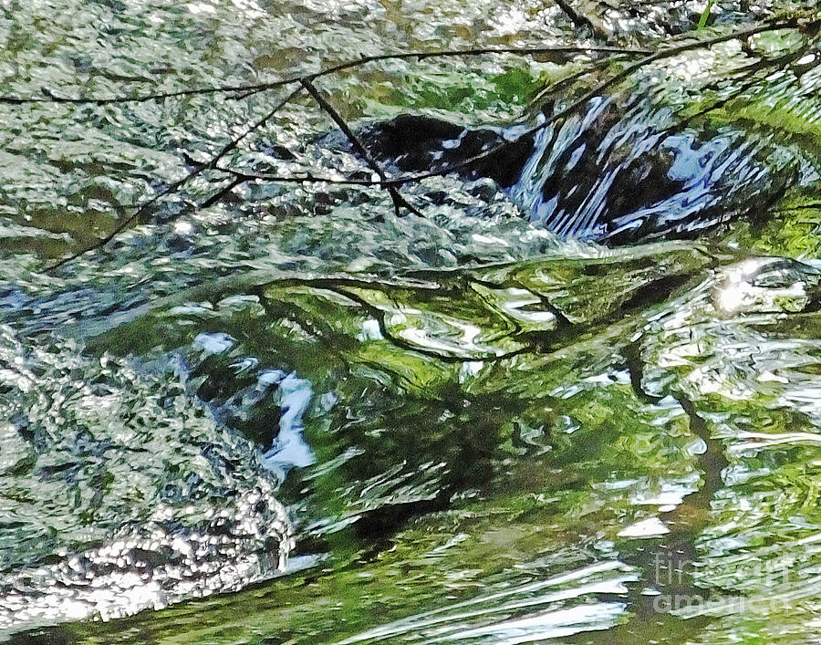 Waterfall on Nancy Creek in Blue Heron Nature Preserve Photograph by Lizi Beard-Ward