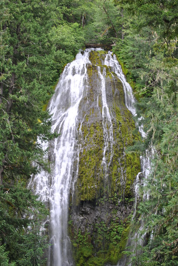 Waterfall outside Eugene Oregon Photograph by Jodi Sprenger Fine Art America