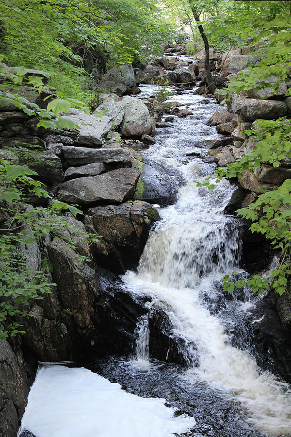 Waterfall Pillsbury State Park Photograph by Samantha Delory