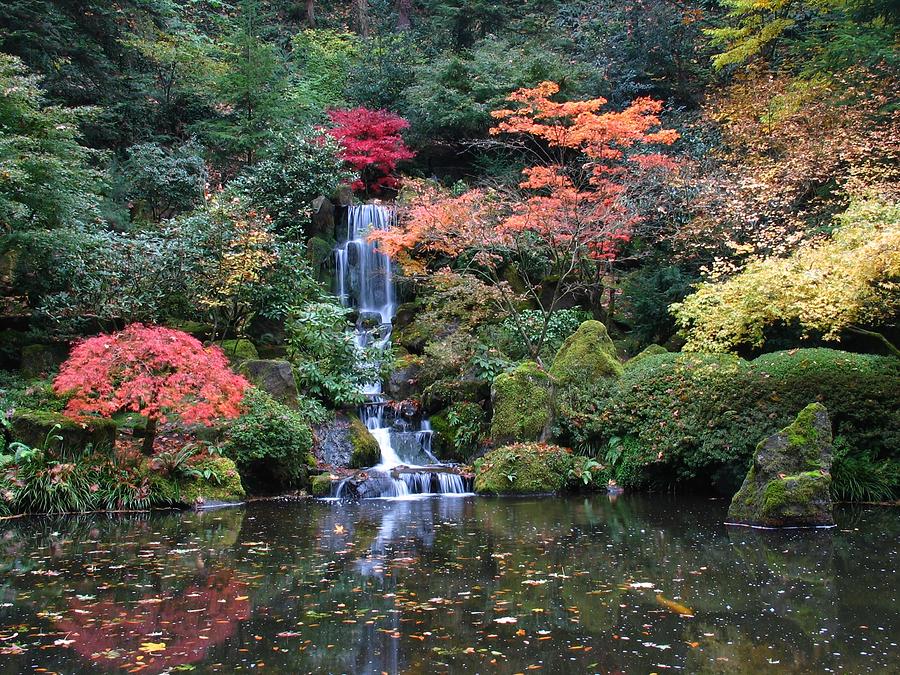 Waterfall - Portland Japanese Garden Photograph by Douge Martin - Pixels