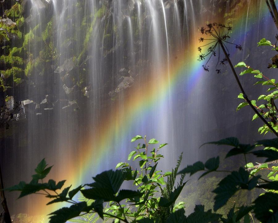 Waterfall Rainbow Photograph by Marty Koch