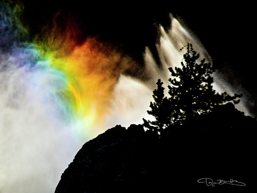 Waterfall Rainbow Splashing And Little Pines Silhouettes #1 Photograph by Dan Barba