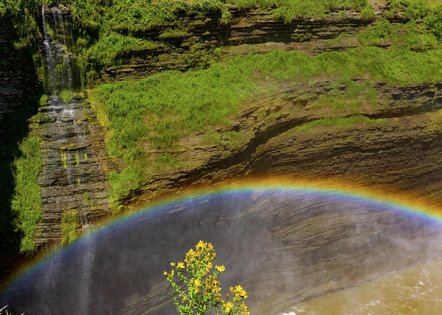Waterfall Rainbow  Photograph by Tim Fitzwater