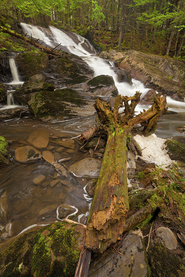 Spring Photograph - Waterfall Remains by Irwin Barrett
