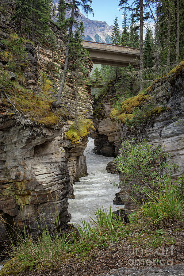 Waterfall running through Maligne canyon Photograph by Patricia Hofmeester