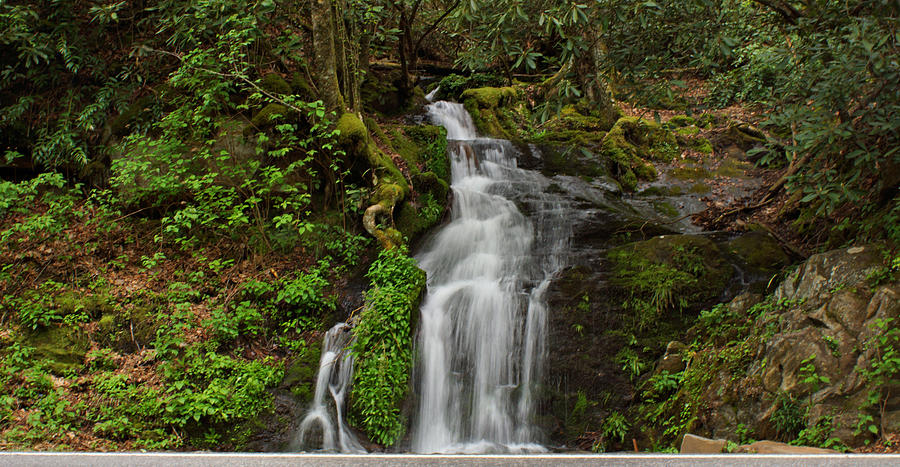 Waterfall Photograph by Sandy Keeton