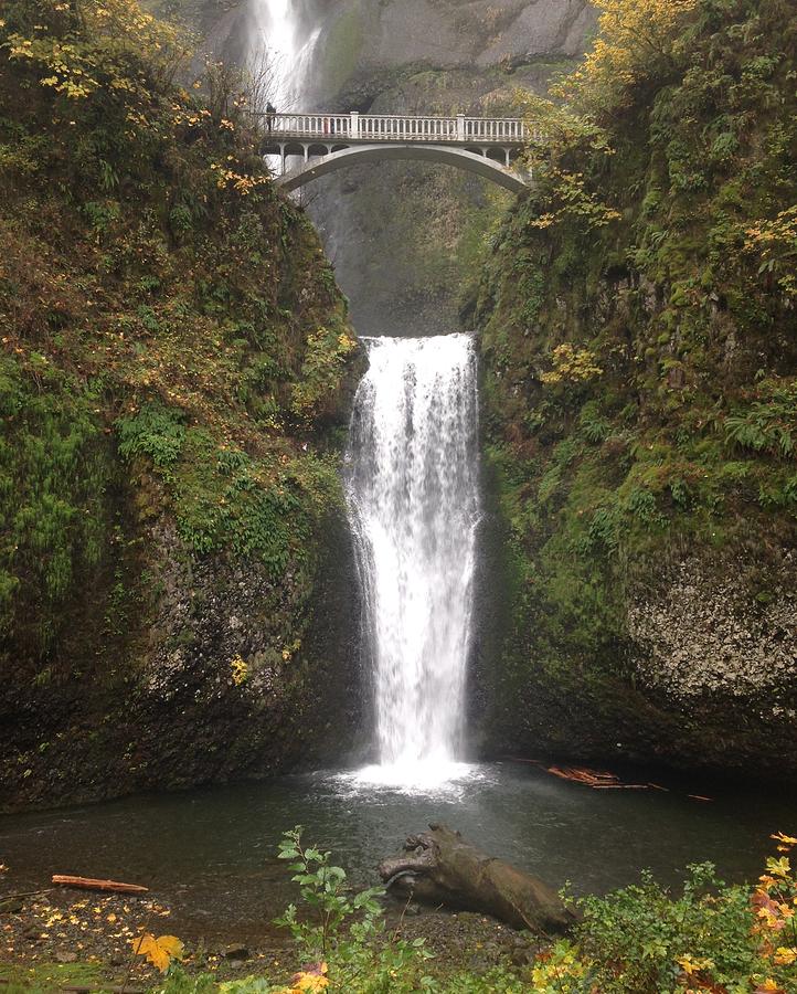 Waterfall by Shari Chavira Waterfall by Shari Chavira