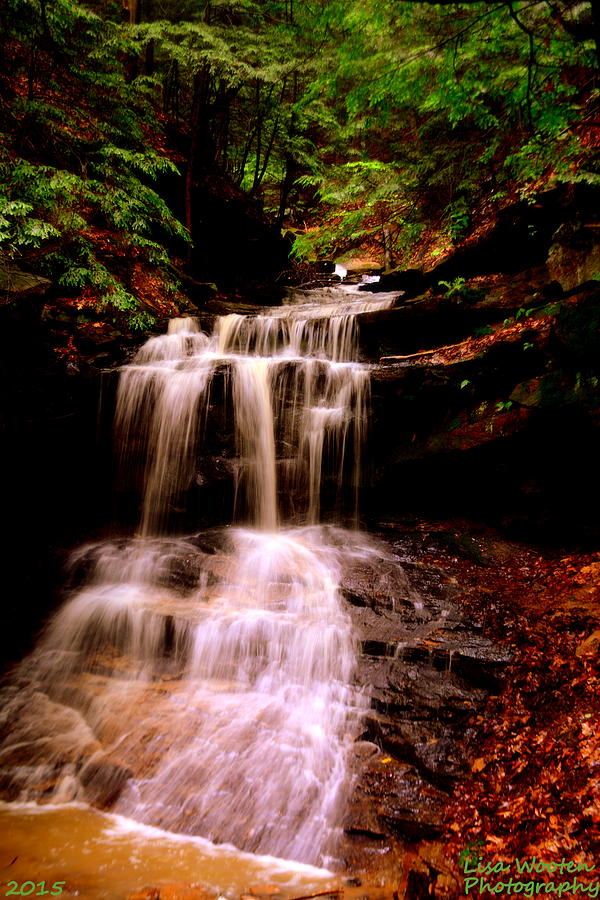 Waterfall Vertical Photograph by Lisa Wooten