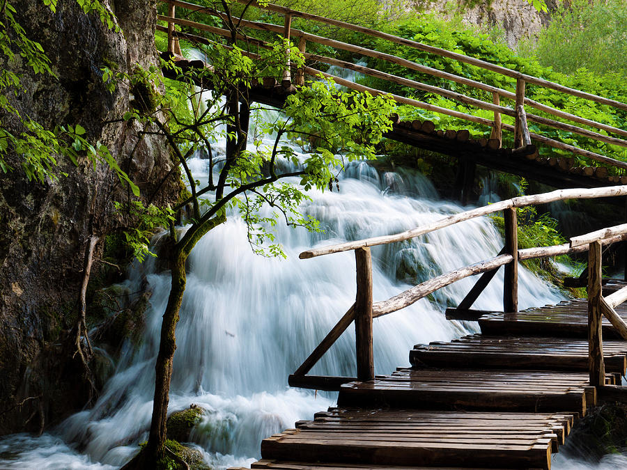 Waterfall Walk Photograph by Rae Tucker - Pixels