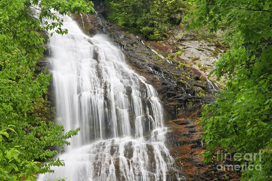 Waterfall With Green Leaves Photograph