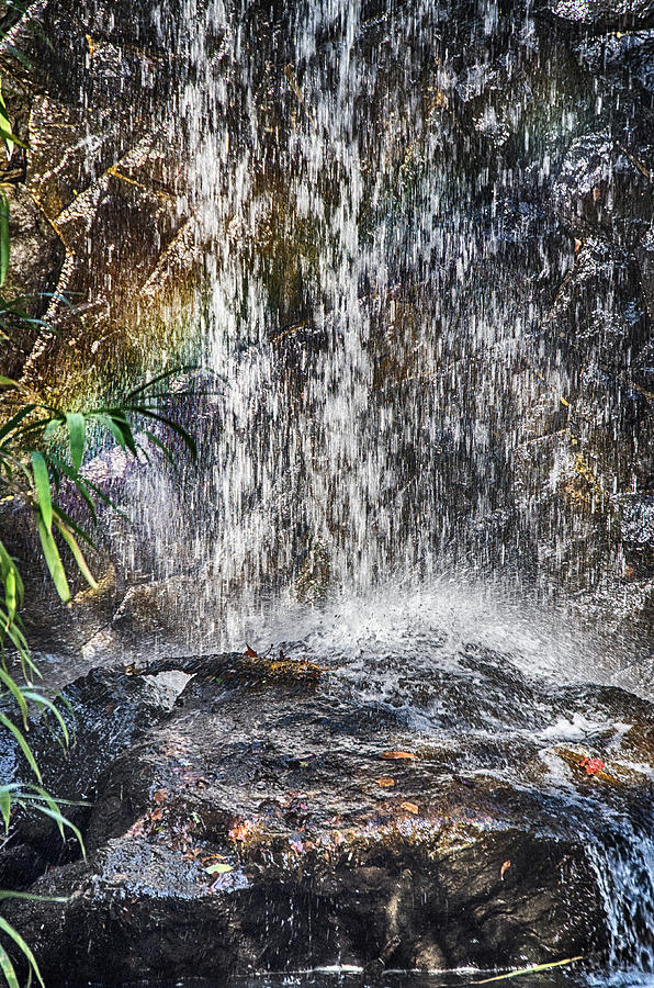 Waterfall with leaves Photograph by Winnie Chrzanowski