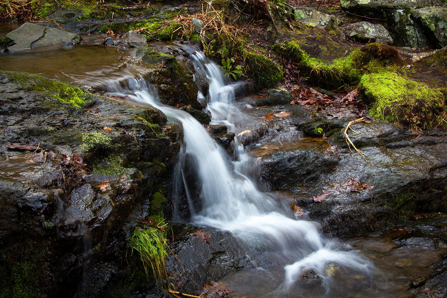 Waterfall with moss Photograph by Jennifer Gonzalez - Fine Art America