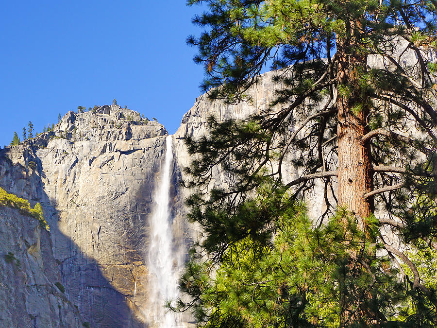 Waterfall Yosemite Photograph by Lutz Baar
