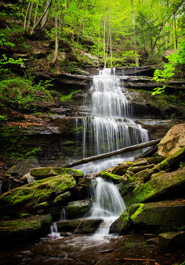 Waterfalls along the Turkey Path Trail Photograph by Carolyn Derstine