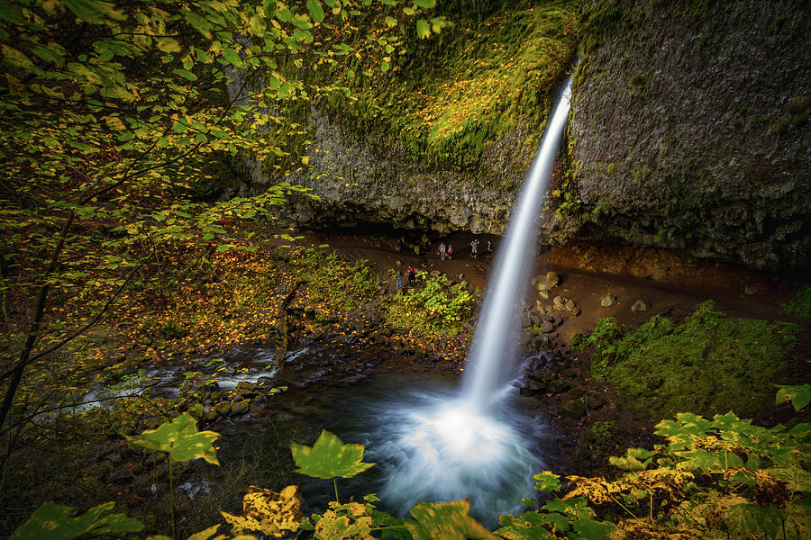 Waterfalls and autumn leaves Photograph by William Lee